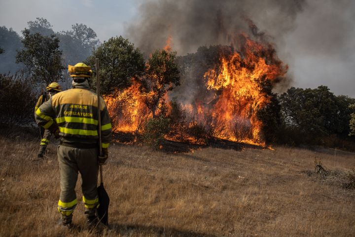 Foto de archivo de bomberos luchando contra el fuego en Losacio (Zamora).