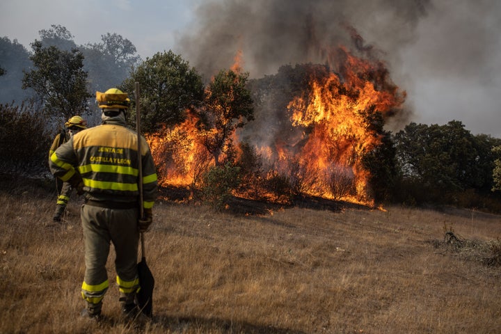 Foto de archivo de bomberos luchando contra el fuego en Losacio (Zamora).