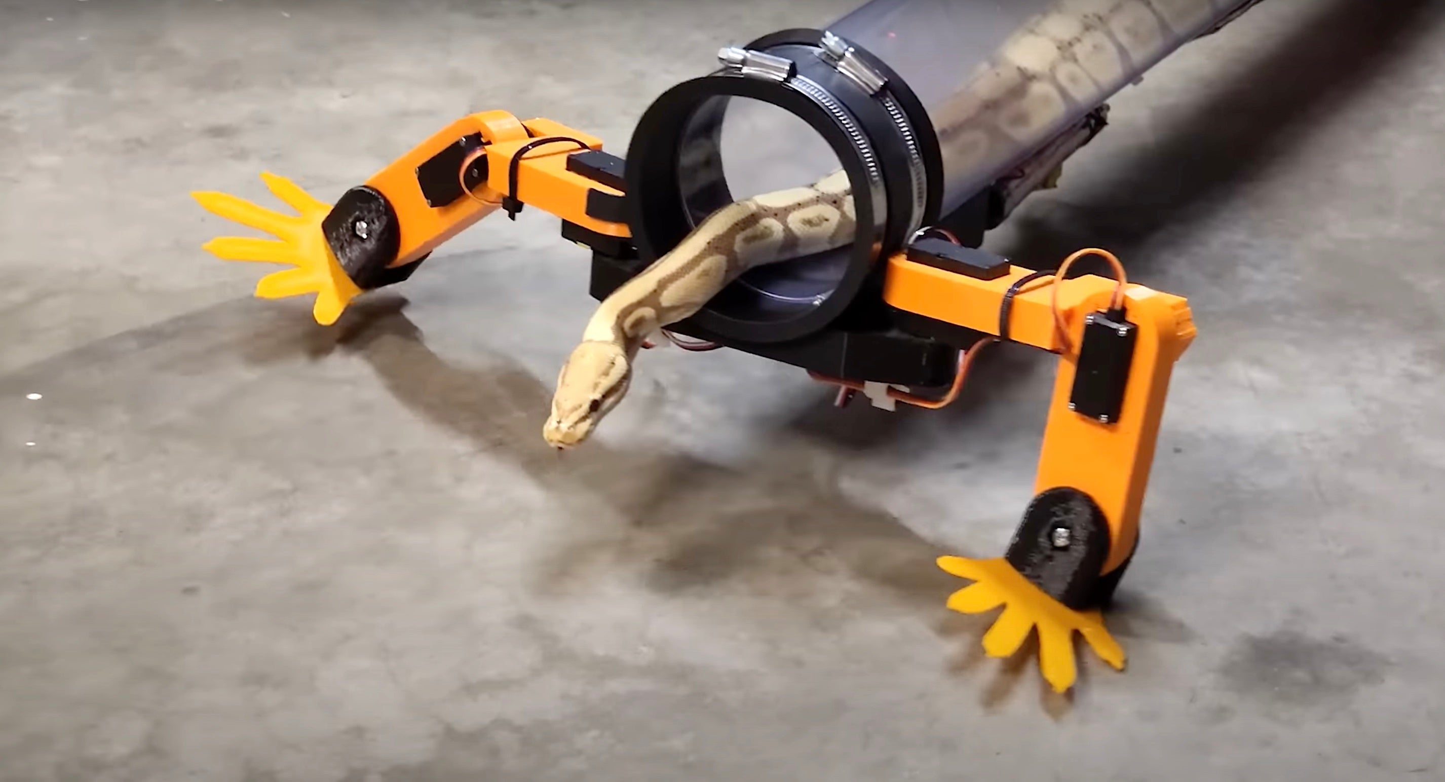 Boston cheap dynamics snake