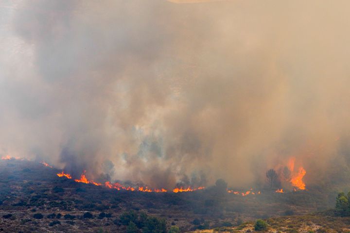 El incendio forestal que se declaró la noche del pasado sábado en Vall d,'Ebo.
