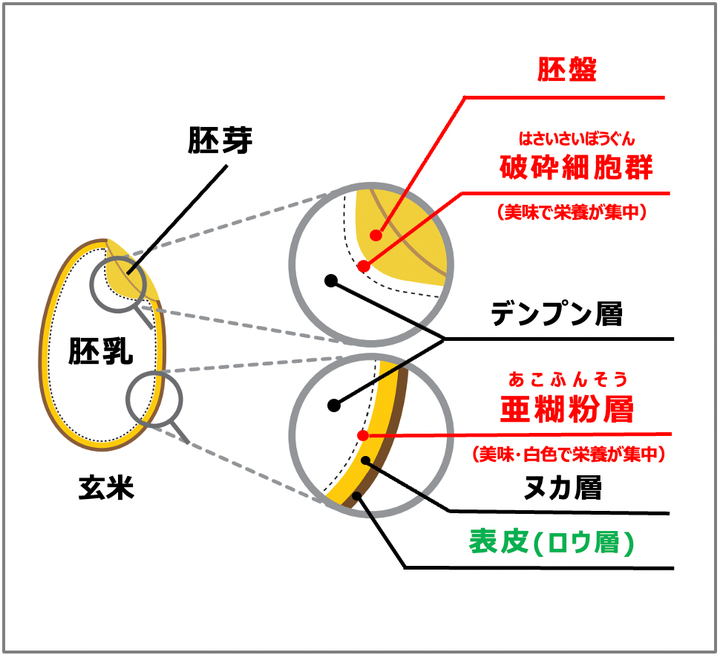 東洋ライス提供