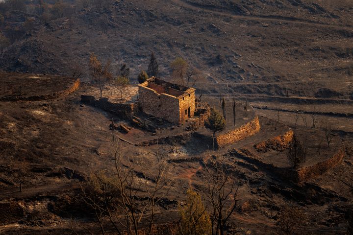 El incendio que se declaró este lunes en Bejís (Castellón) sigue activo aunque durante la noche se ha podido trabajar mejor porque las condiciones de humedad han sido más favorables.