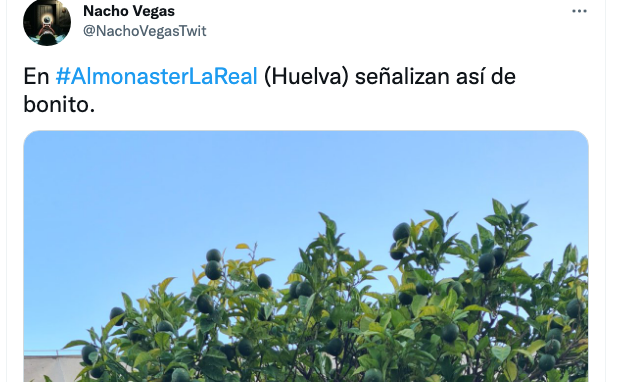 La señal compartida por el cantante Nacho Vegas.