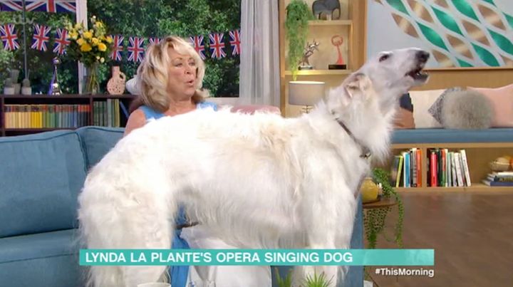 Lynda LaPlante's enormous dog shows off his vocal prowess