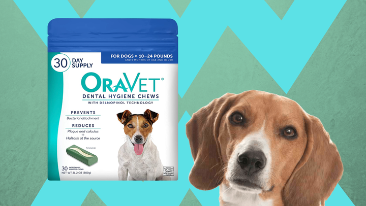 OraVet dental hygiene chews