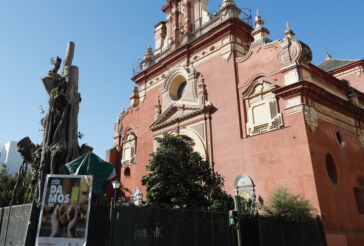 El Ficus centenario de la Parroquia de San Jacinto de Sevilla, del que ya sólo queda el tronco principal.