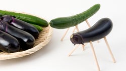冷蔵庫に野菜がない ⇒