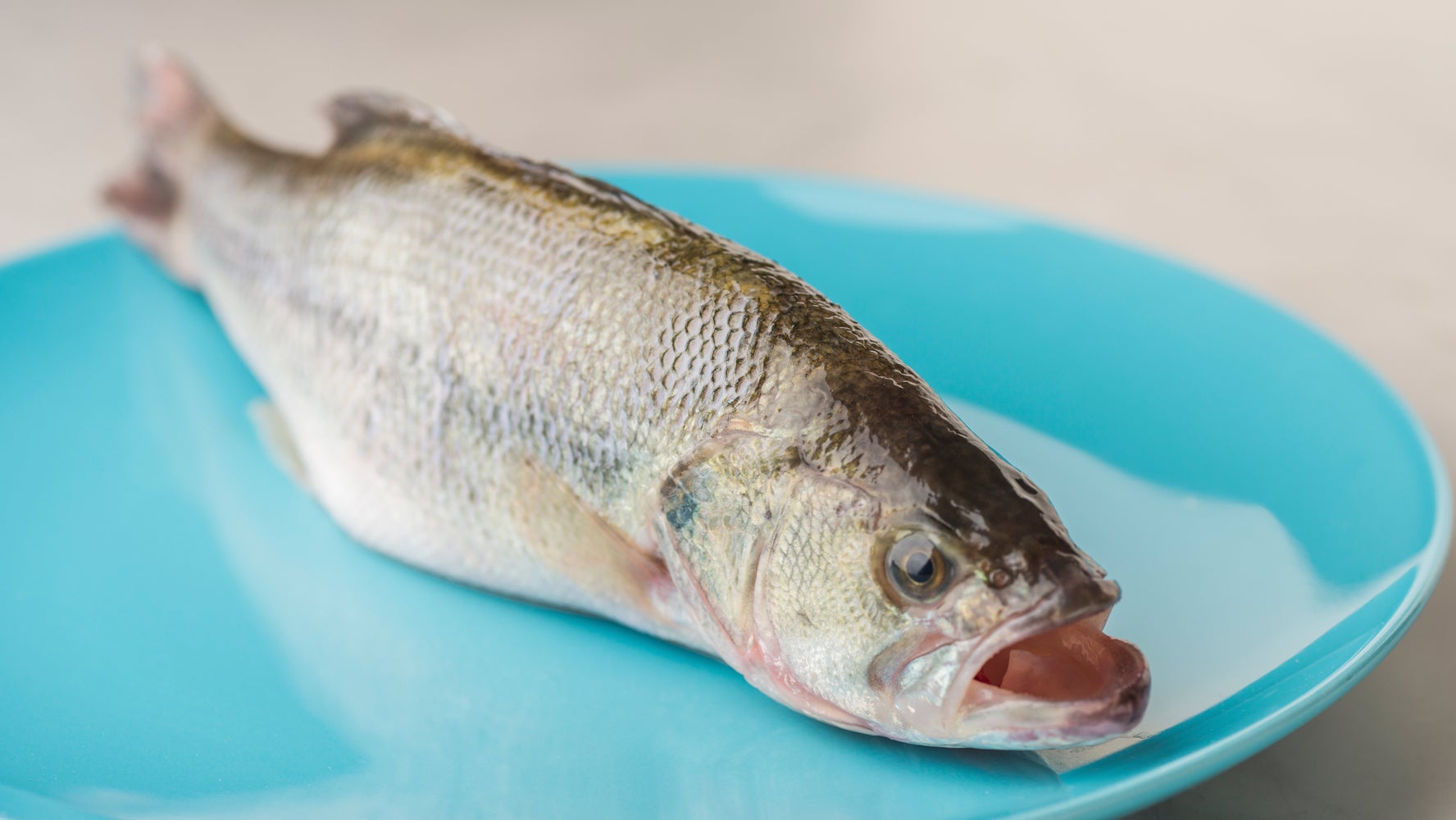 魚にpcr検査を義務付け こんな馬鹿馬鹿しい対策はない と批判も 中国 ハフポスト World 魚にpcr検査を義務付け こんな馬鹿馬鹿しい対策はない と批判も 中国 ハフポスト World