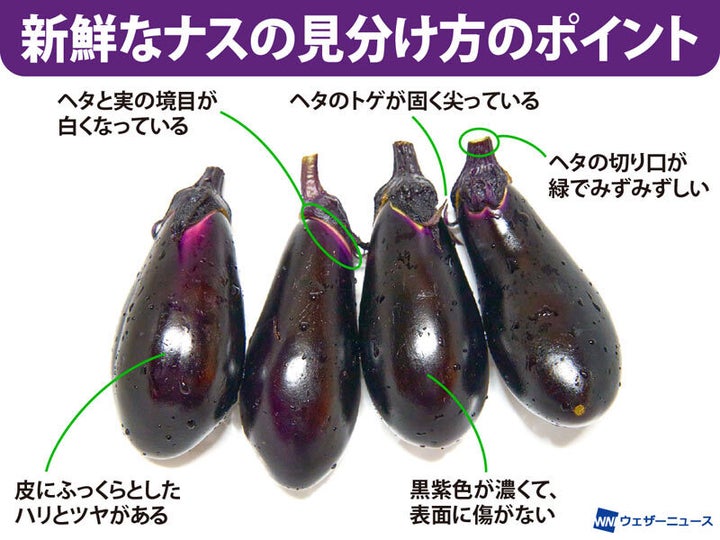 新鮮なナスの見分け方のポイント