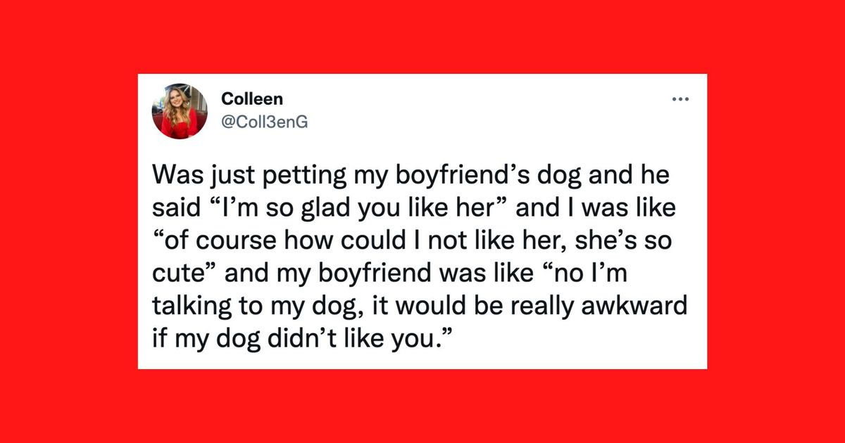 21 of the funniest tweets about cats and dogs this week