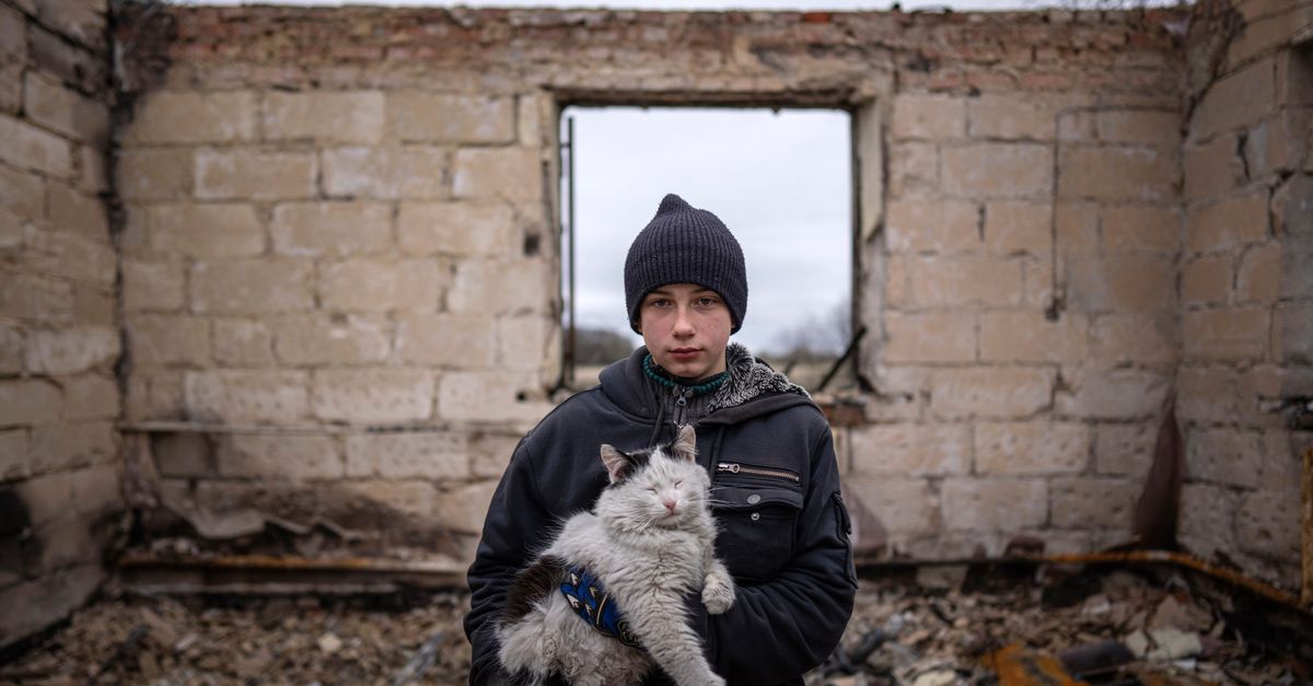 6 Months On, Ukraine Fights War, Faces Painful Aftermath