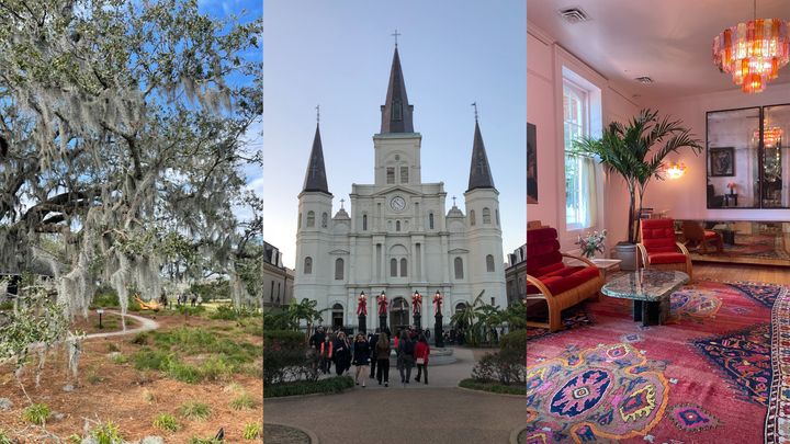 From left to right: City Park, St. Louis Cathedral and Hotel St. Vincent.