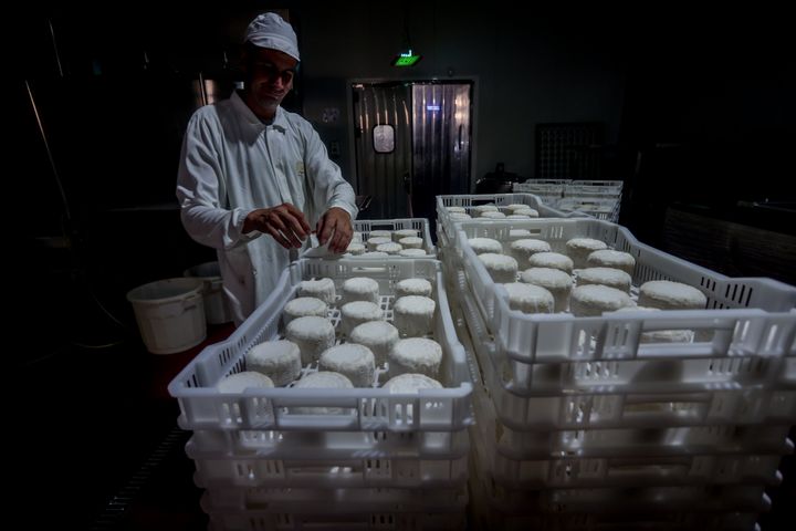 Fábrica de quesos en Colmenar Viejo, Madrid, en agosto de 2022. 