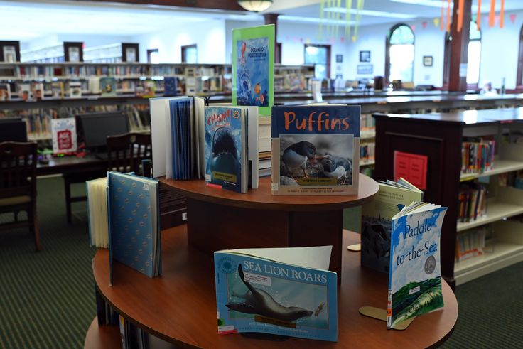 Books on display at the Patmos Library earlier this month. The library board and staff decided to keep books that caused a local conservative group to call for a town to strip its funding.
