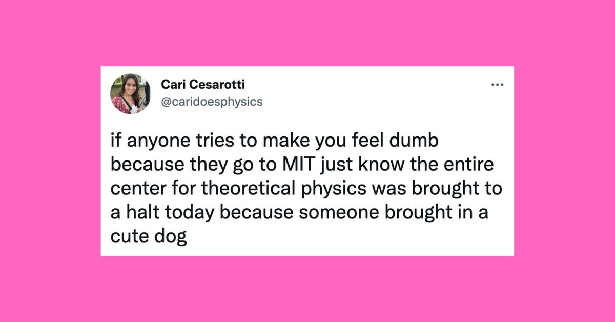 28 Of The Funniest Tweets About Cats And Dogs This Week (Aug. 2026