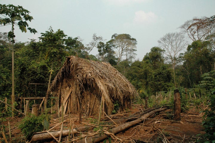 One of the man's straw huts is seen in a clearing he made.