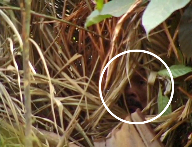 The man is seen looking out of a straw hut he made. The man avoided contact with other humans for decades after his tribe was killed off, one organization said.