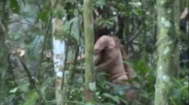 「穴の民」と呼ばれた先住民族の男性が、木を切っていると思われる動画。FUNAIが撮影。