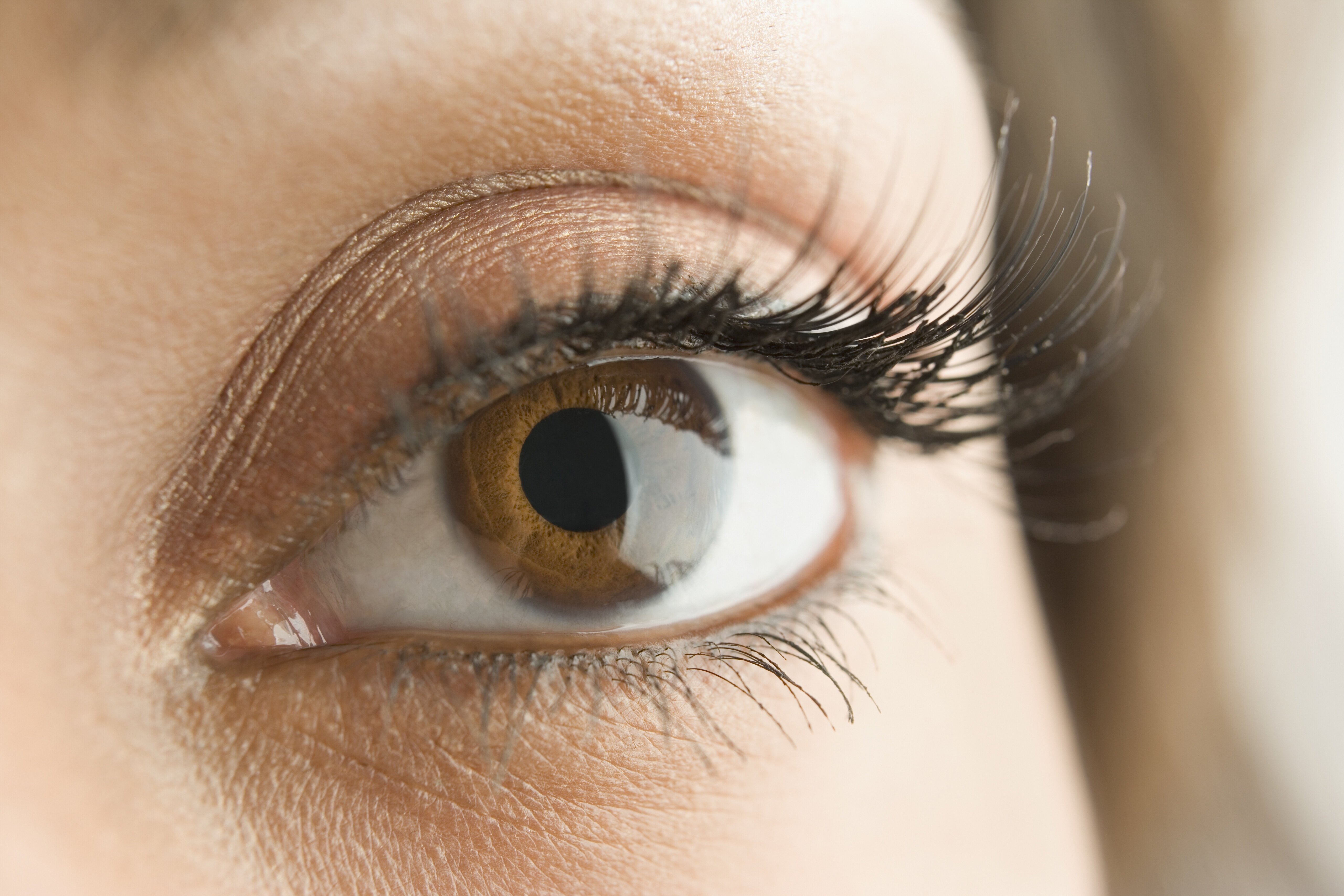 Are Lash Lifts Safe? Here's What You Should Know Before Getting One ...