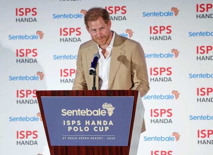Prince Harry speaks at a charity event on Thursday, Aug. 25, in Aspen, Colorado.