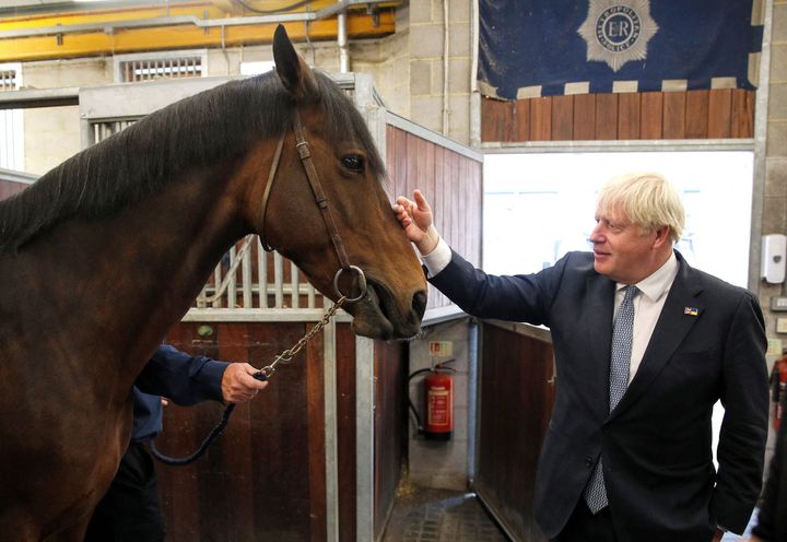 British Prime Minister Boris Johnson meets Vimala, a police horse, during a visit to a Metropolitan Police station in London, on August 31, 2022. (Photo by PETER NICHOLLS / POOL / AFP) (Photo by PETER NICHOLLS/POOL/AFP via Getty Images)