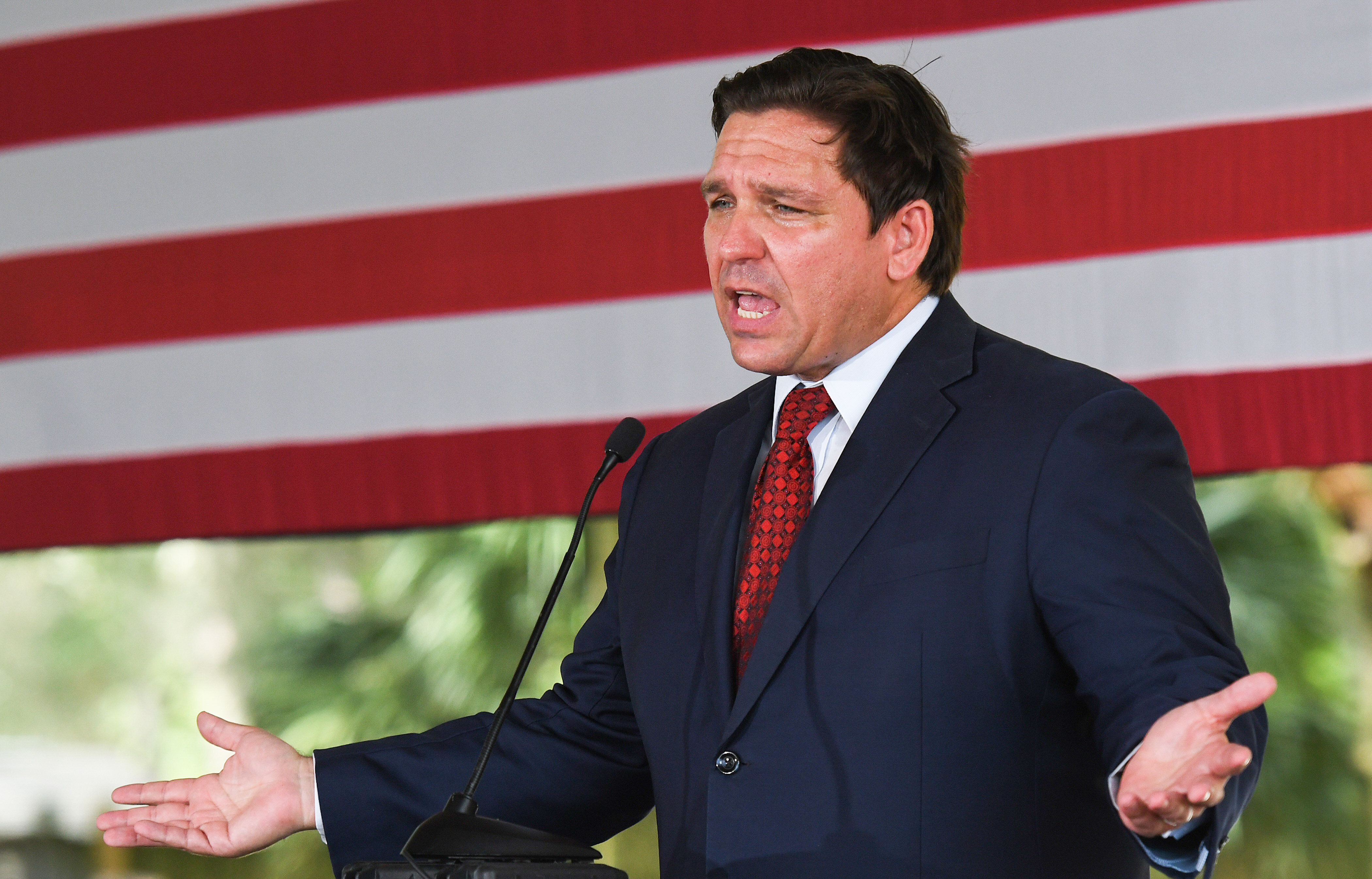 Ron DeSantis Is Mounting An Ideological Revolution Inside Florida ...