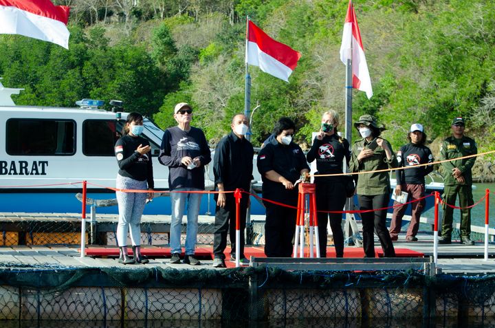 An Indonesian government official opens the gates to release the dolphins.