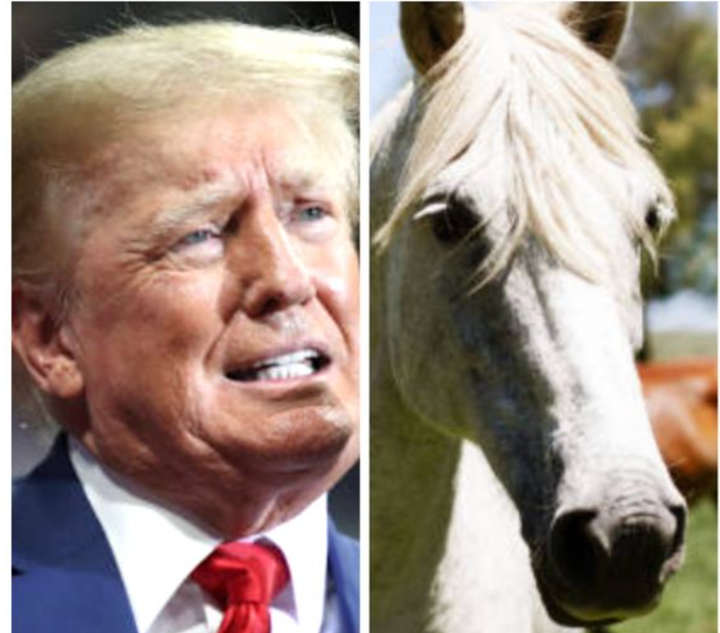 Donald Trump and a horse (generic file photo).