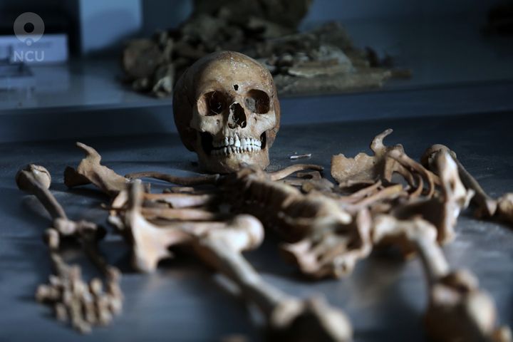 Remains of a "female vampire," seen here, were discovered in a Polish cemetery.