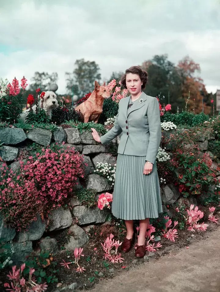 La reina en el Castillo de Balmoral con algunos de sus perros en 1952.