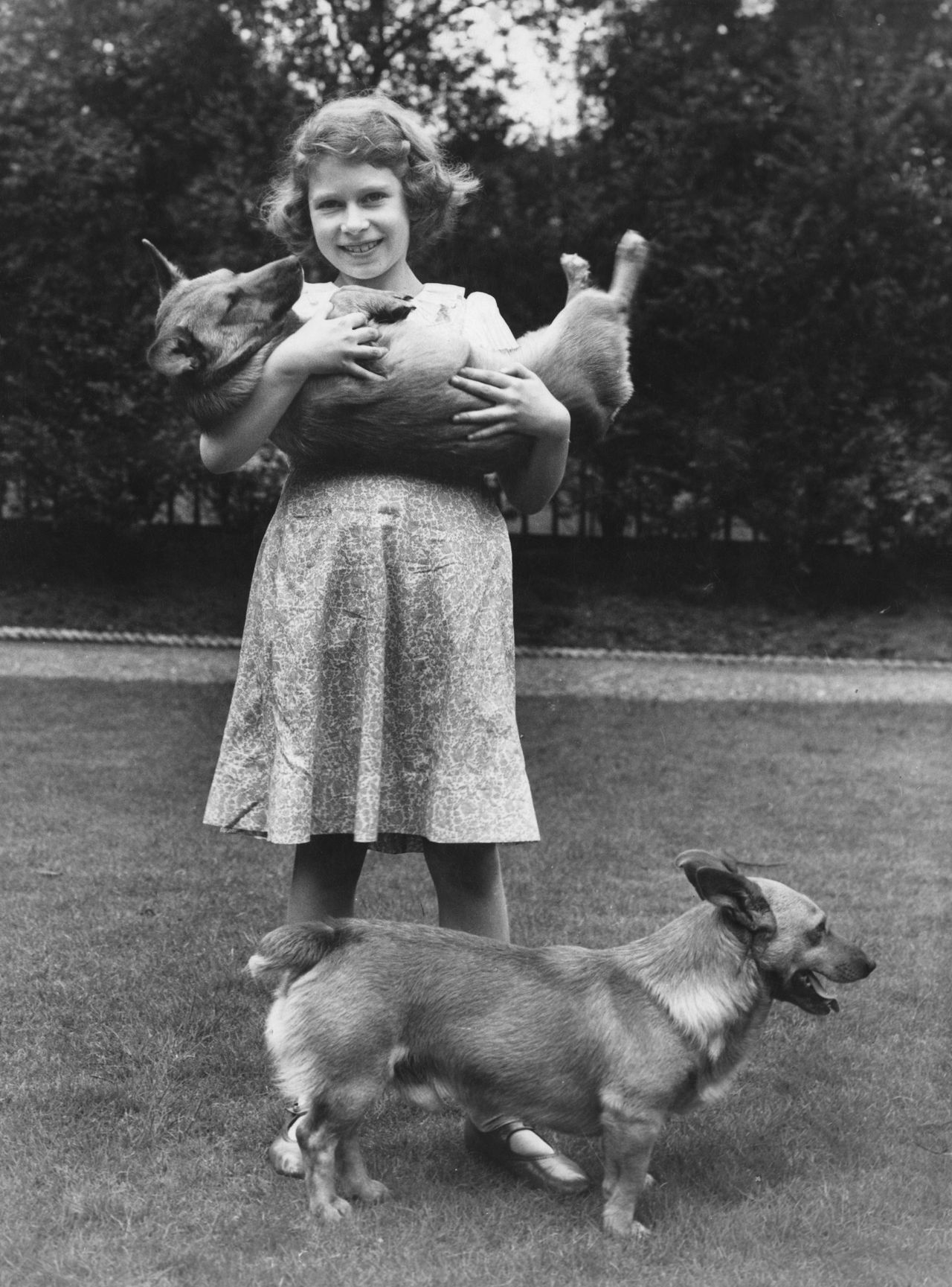 Princess Elizabeth with two corgi dogs at her home at 145 Piccadilly, London, in 1936. 
