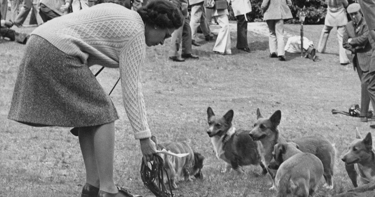 This Story About The Queen And Her Corgis Sums Up How She Connected With People