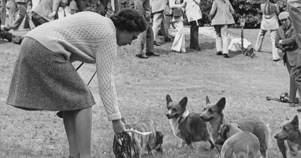 Cq3d93jbvcaeym Cq3d93jbvcaeym