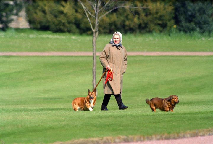1994年、コーギーとともにウィンザー城を散歩する女王