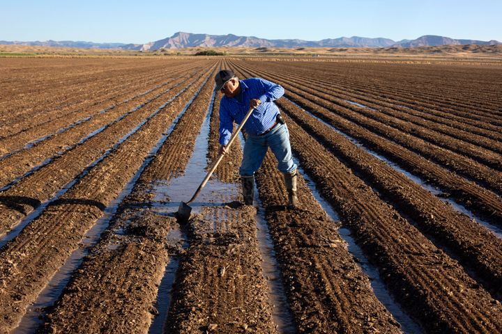 Joe Bernal works on his family's farm on Thursday, Sept. 1, 2022, in Fruita, Colo. In November 1922, seven land-owning white men brokered a deal to allocate water from the Colorado River, which winds through the West and ends in Mexico. During the past two decades, pressure has intensified on the river as the driest 22-year stretch in the past 1,200 years has gripped the southwestern U.S.