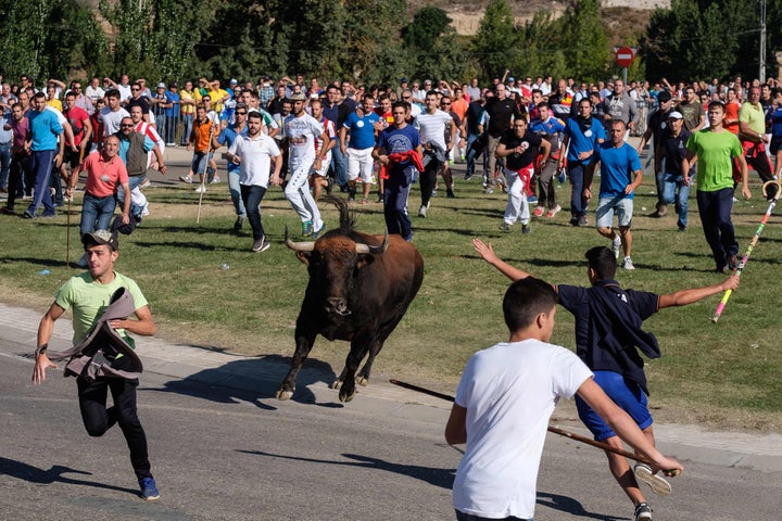 Toro de la Vega.