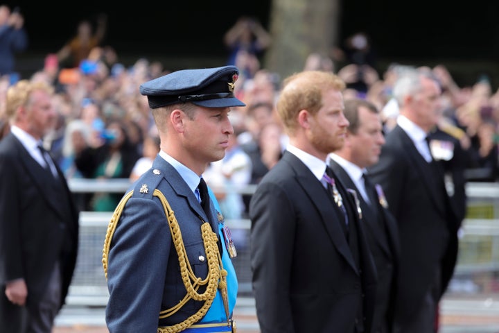 The Prince of Wales and Duke of Sussex.