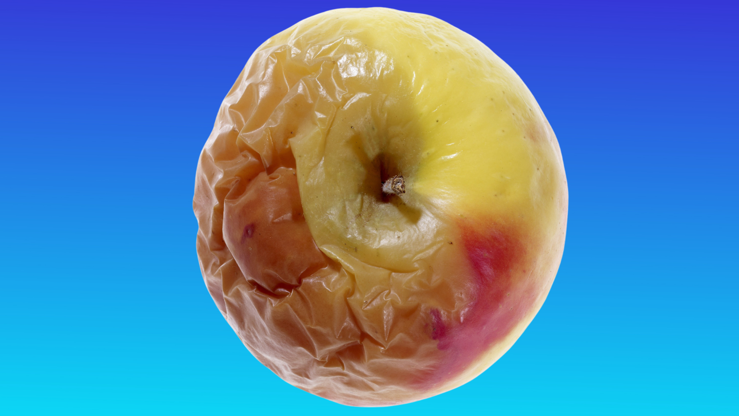 Is It Safe To Eat Produce That Has Touched Other Rotten, Moldy Foods ...