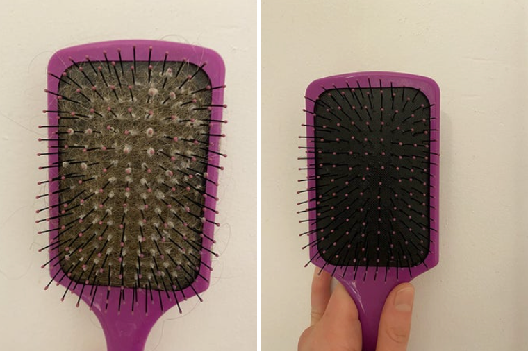 Jewelry Solution Comb Cleaning Brush Hair Brush Cleaner Tool Comb Cleaning  Hairbrush 2 In 1 Hair Brush Cleaning Tool Embedded Comb Hair Brush Hair