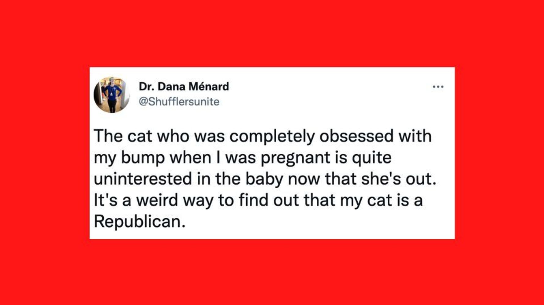 Sweet 16: Sixteen Funny Animal Tweets We Found On Twitter - I Can