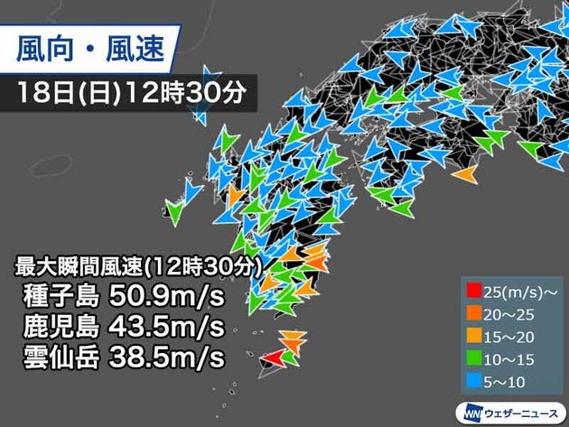 風向・風速の実況