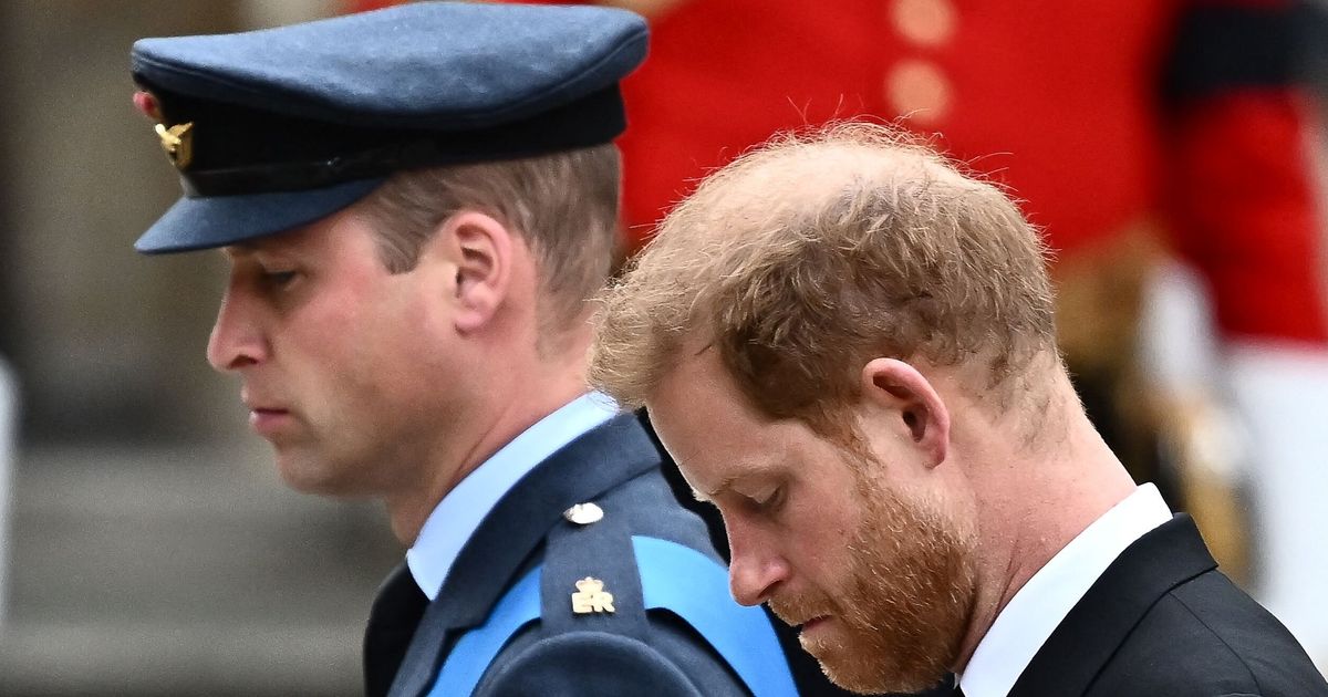 Prince William, Prince Harry Walk Side-By-Side For Queen Elizabeth's Funeral Procession.jpg