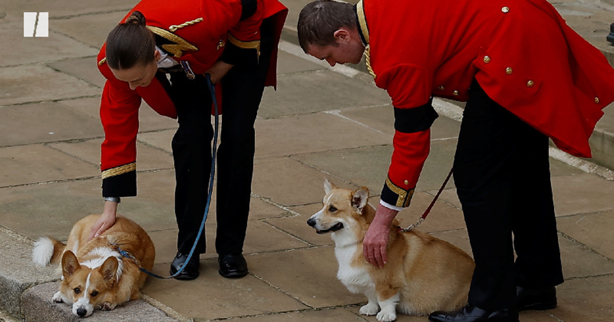 the-queen-s-corgis-say-goodbye-in2-wales