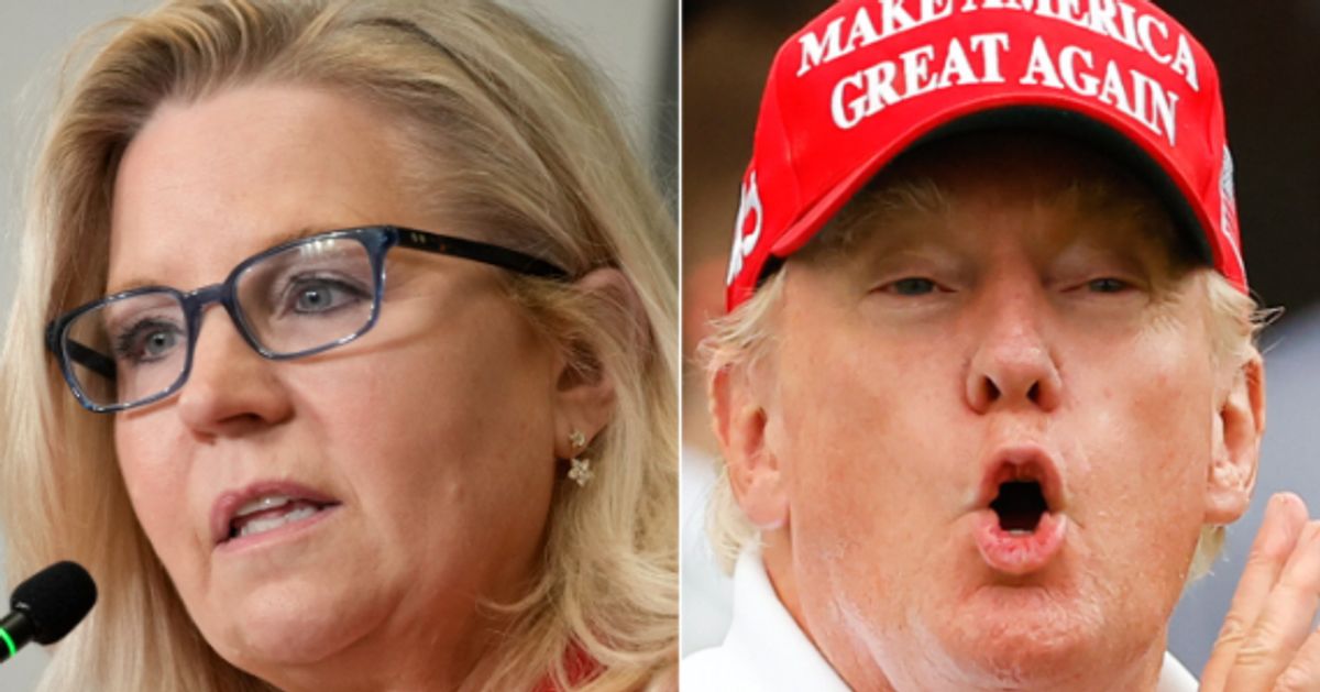 Rep. Liz Cheney Reveals How Trump-Supporting Lawmaker Ripped Him Behind His Back