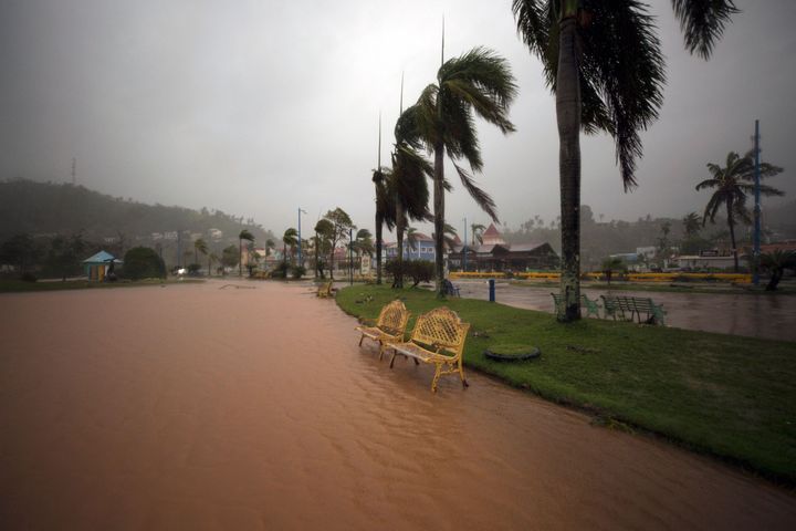 To πάρκο Σαμάνα στη Δομινικανική Δημοκρατία, στις 19 Σεπτεμβρίου μετά το πέρασμα του Κυκλώνα.