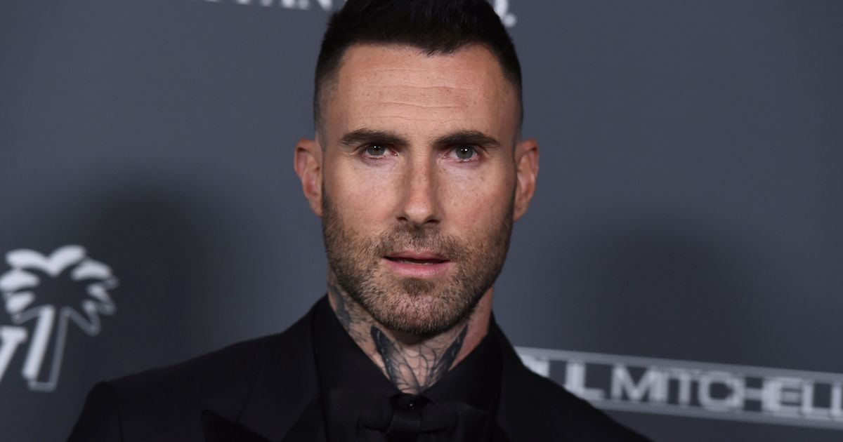 Adam Levine Breaks Silence On Influencer's Cheating Accusation: 'I Crossed The Line'