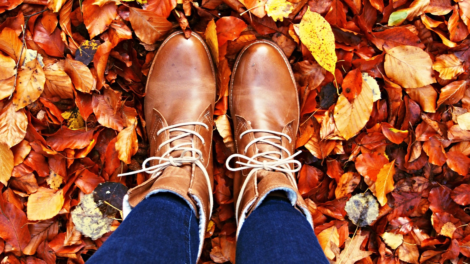 Timberland 2025 autumn leaf