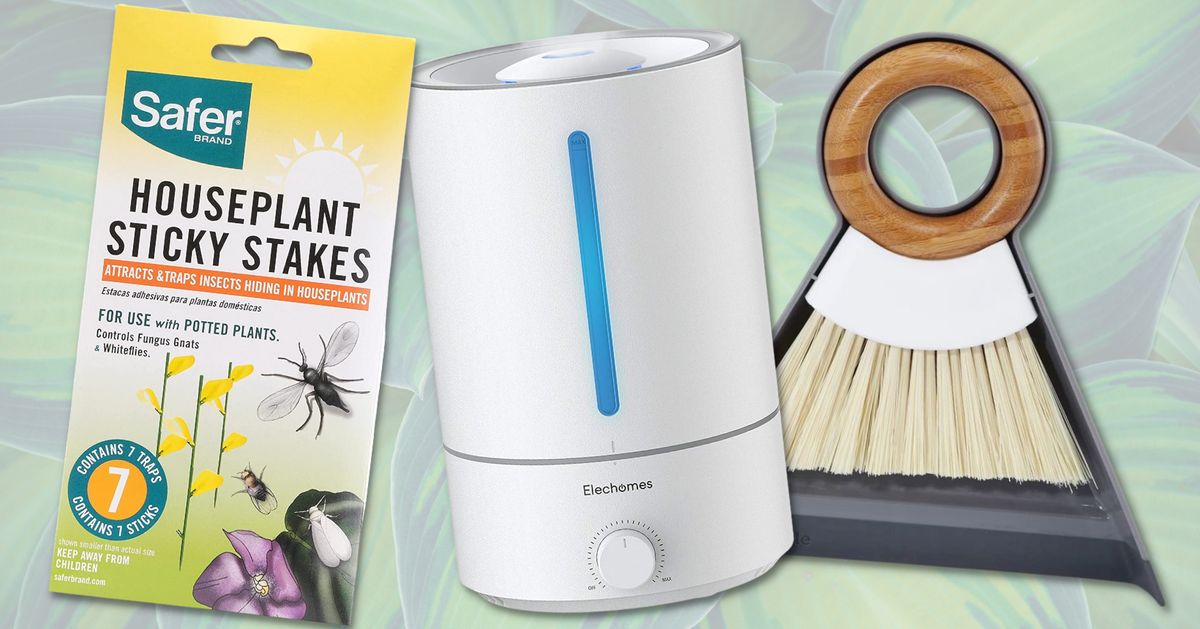 24 Products If Being A Plant Parent Is Your Entire Personality.jpg