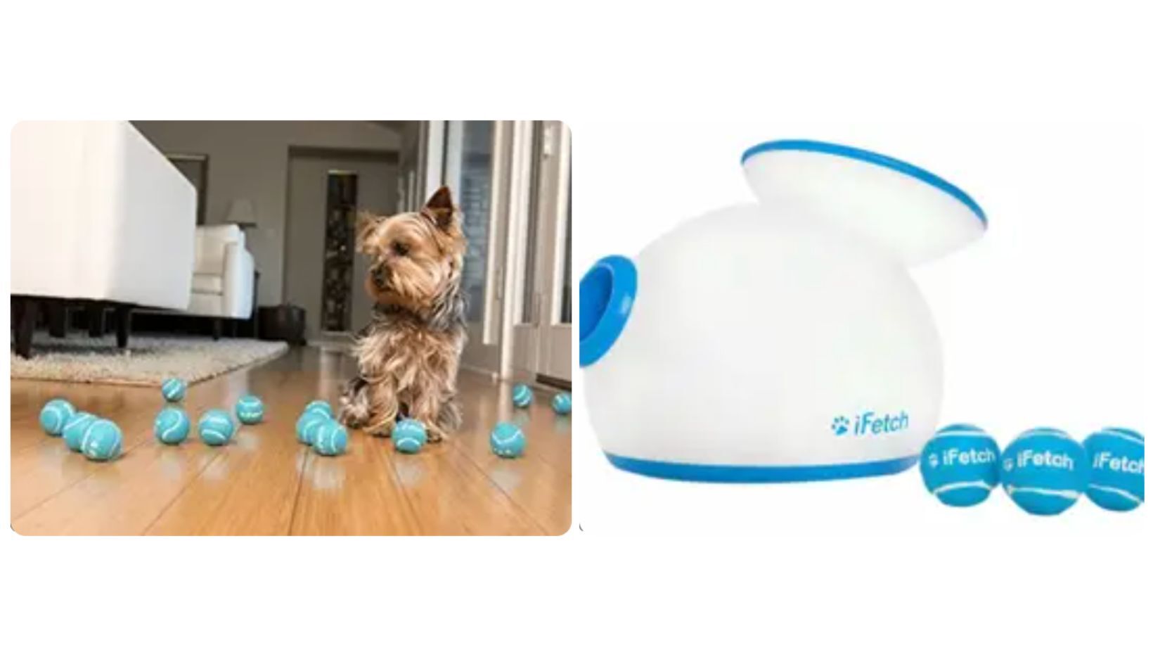 ifetch bed bath and beyond
