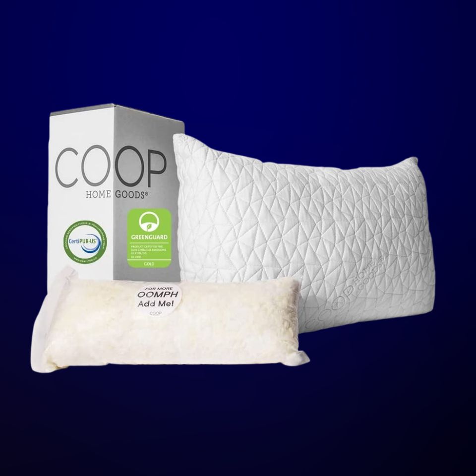 Coop Home Goods pillow
